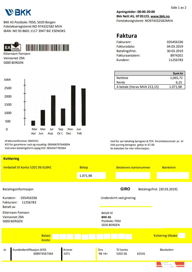Norway BKK electricity utility bill template in Word and PDF format, good for address prove